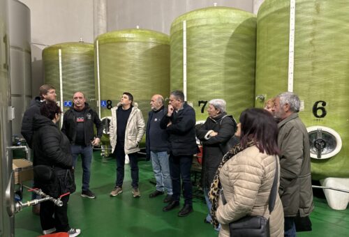 El PSOE defiende una PAC “que atienda la diversidad territorial” y rechaza “los recortes que propone el PP a través de su comisario europeo”