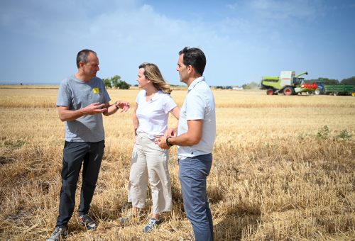 Pilar Alegría reprocha que Azcón lleve cuatro meses sin adoptar medidas para ayudar al sector agrícola, que sigue sufriendo las consecuencias de la guerra