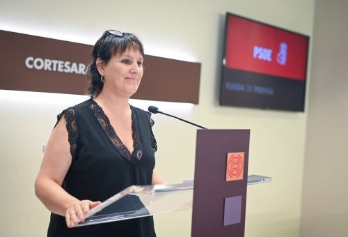El PSOE plantea 13 medidas frente a los incendios y exige a Azcón y Vox abandonar la autocomplacencia y actuar antes de que llegue el fuego