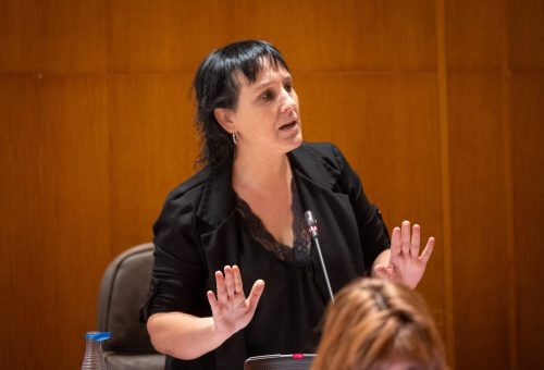 El PSOE lamenta que la consejera Carmen Susín mienta y niegue que se haya recortado una vía en el CEIP de La Laguna de Sariñena