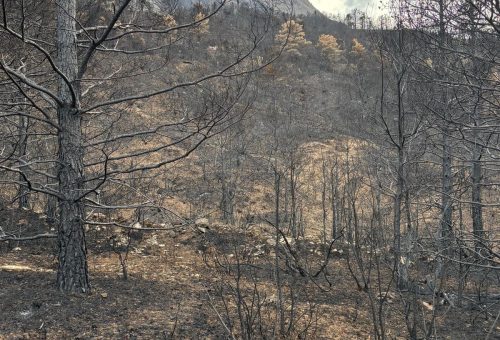 El PSOE exige a la Diputación de Huesca que elabore un Plan Extraordinario de Apoyo a los municipios y vecinos afectados por los incendios forestales