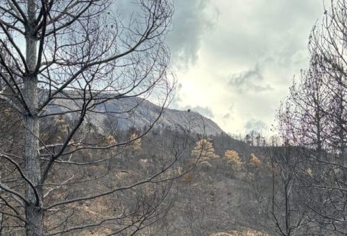 El PSOE califica de totalmente insuficiente que solo se vayan a proteger 4 pueblos frente a los incendios y exige a Isaac Claver que se tome en serio la protección de los pueblos