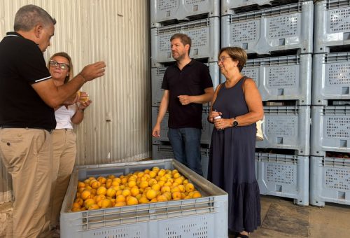 El PSOE denuncia prácticas abusivas contra los fruticultores y acusa al gobierno de Azcón y VOX de ponerse de perfil